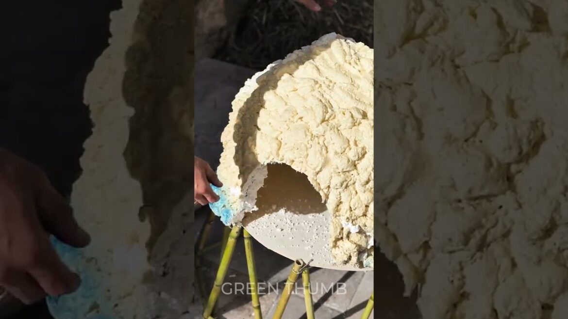 A warm nest for your beloved animals in your farm ⧛🐓 A warm nest for your beloved animals in your farm ⧛🐓