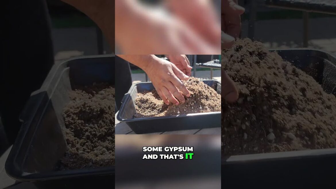 California Gardening: Top Seed Starting Mistakes Gardeners Make (And How to Fix Them!) 🌱 Part 1 Top Seed Starting Mistakes Gardeners Make (And How to Fix Them!) 🌱 Part 1