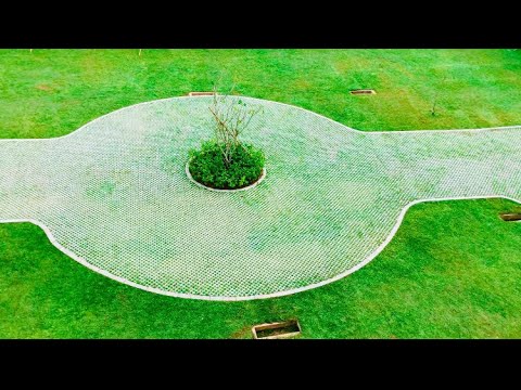 Home Garden Step by Step | ගෙවත්ත ලස්සන කරගමු Home Garden Step by Step | ගෙවත්ත ලස්සන කරගමු