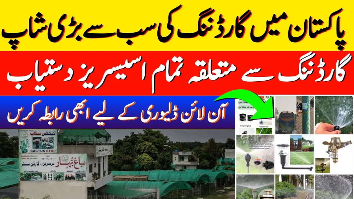 Gardening Whole sale shop in Pakitan | Latest Plants and seeds market in Pakistan 2025 #garden Gardening Whole sale shop in Pakitan | Latest Plants and seeds market in Pakistan 2025 #garden