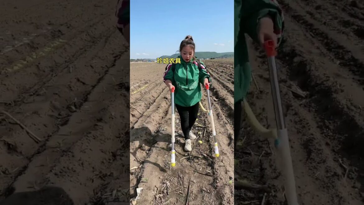 Rt 012131001210075 #seeddrills #gardening #agriculture #farming #vegetables #tools #shorts #farmer