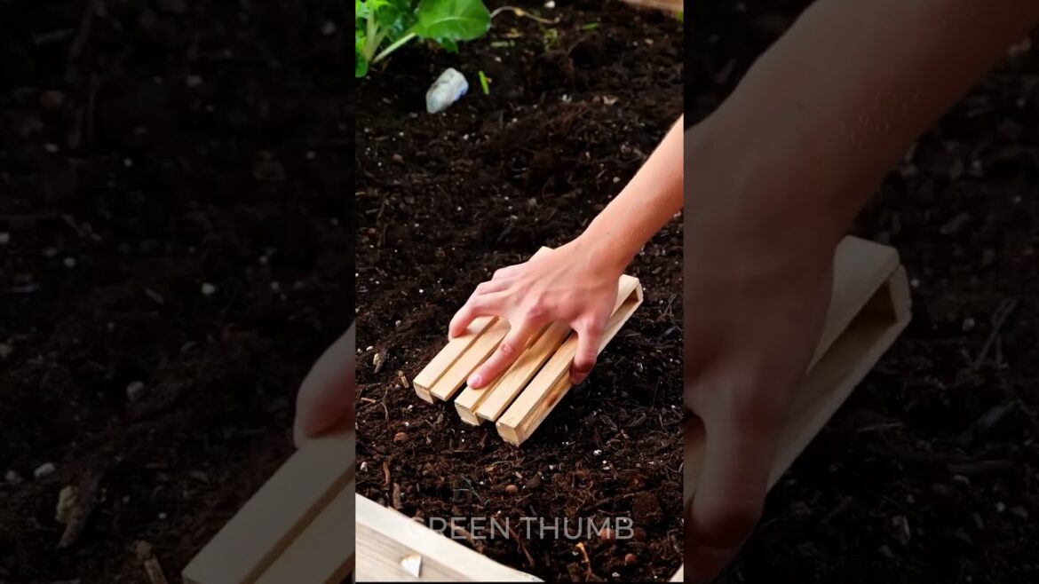 Repurposing Household Items for Gardening 🌱 Repurposing Household Items for Gardening 🌱