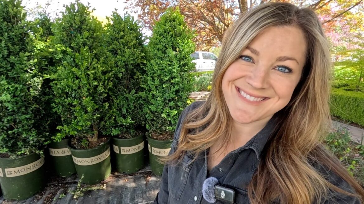Adding More Boxwoods to the Formal Garden & Fixing the Fountain in the Kitchen Flower Bed! 🙌🌲💦