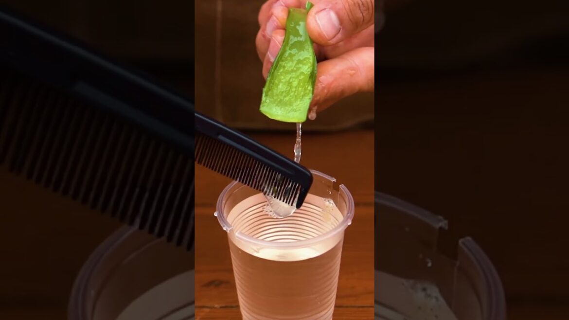 Inventive Plant Growing Hacks for a LUSH Garden! 🌺🌺🌺Boost Your Edits: “SAMUEI - CAMELOT”