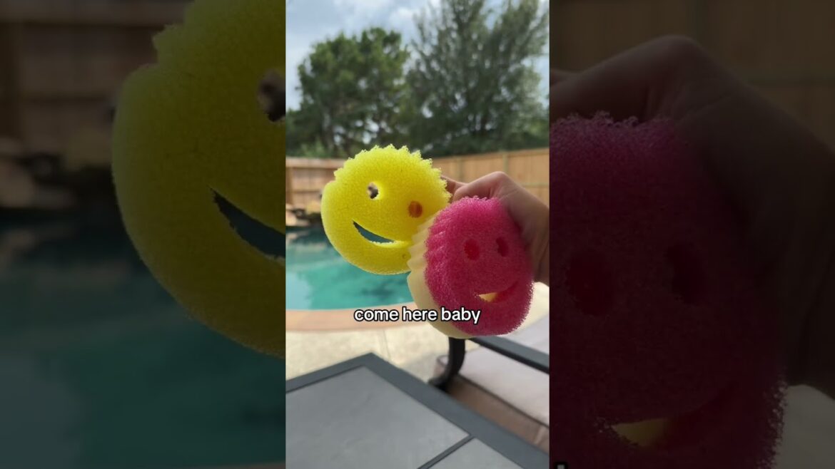 Love at first clean: sponges that shine #scrubdaddy #fok