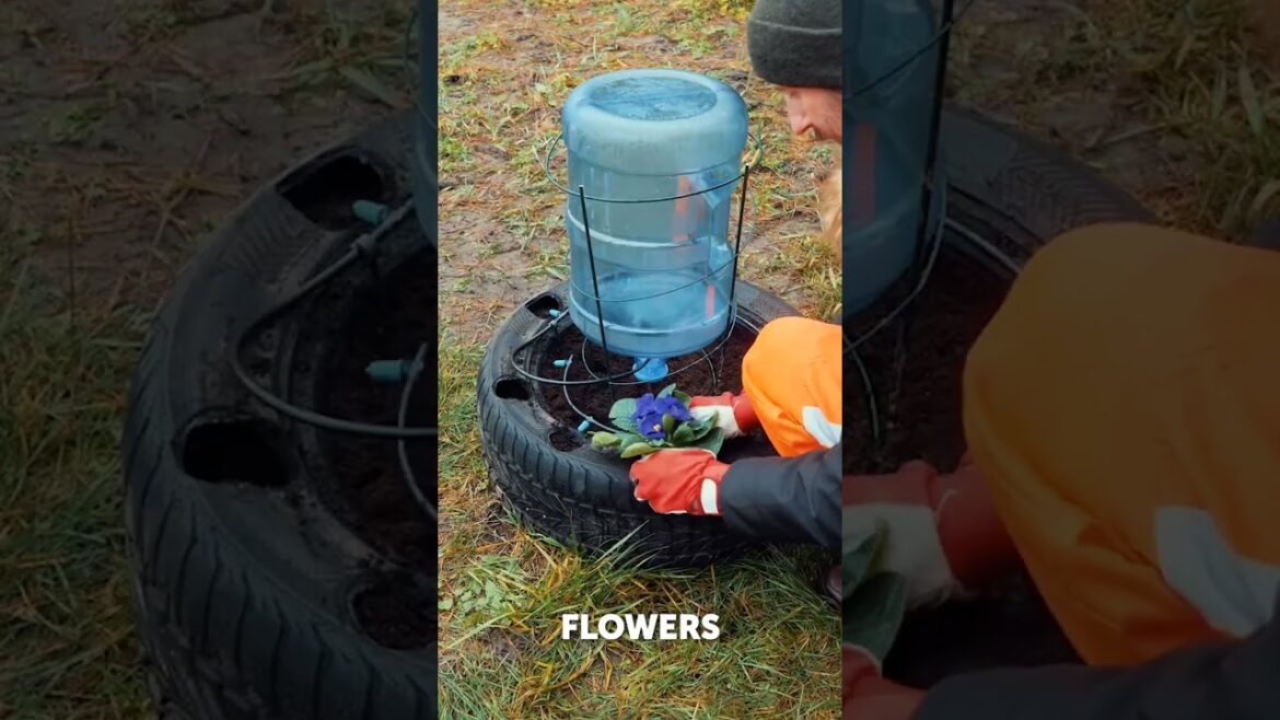 Automatic DIY garden sprinkler system from recycled tire ♻️Creators Love “SAMUEI – CAMELOT” 💥 Automatic DIY garden sprinkler system from recycled tire ♻️Creators Love “SAMUEI - CAMELOT” 💥