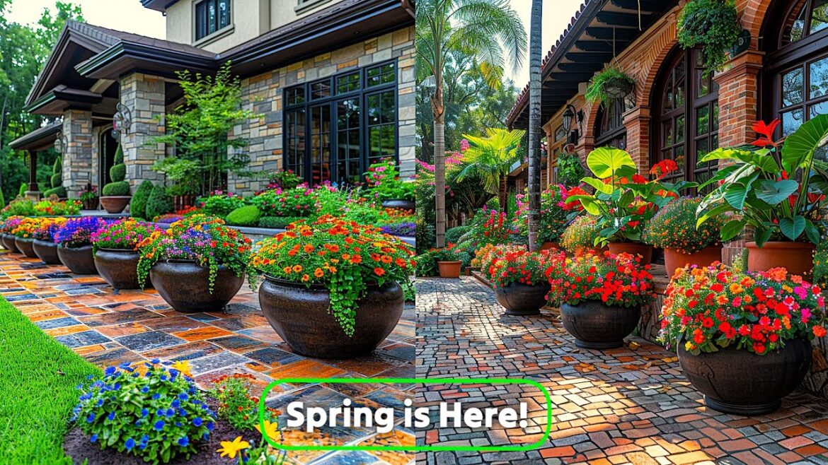 What Flowers Will Make Your Spring Flower Bed Shine: Front Yard Flower Bed Landscaping 2025