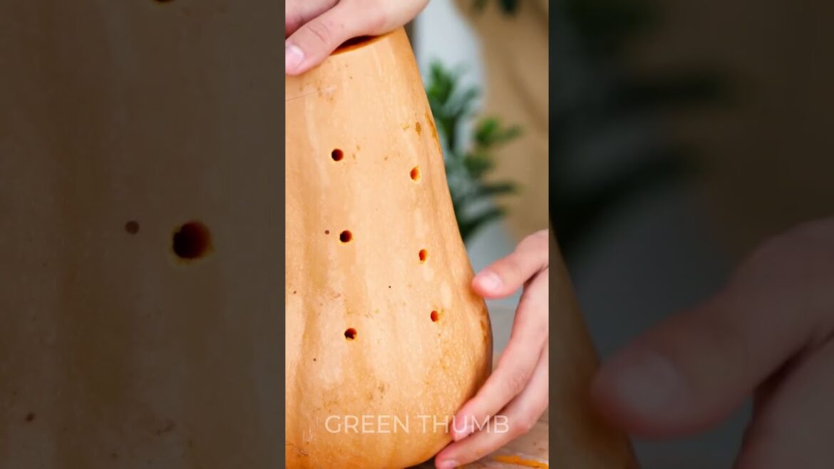 Gardening on a Budget: Frugal Tips and Tricks 🌿 Gardening on a Budget: Frugal Tips and Tricks 🌿