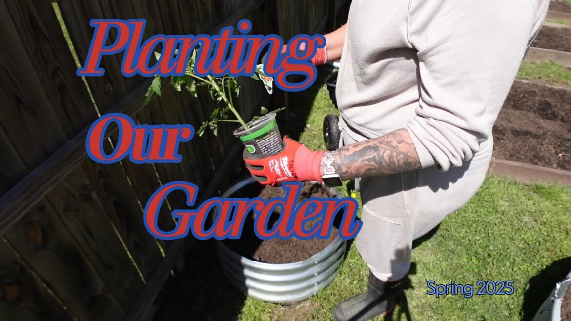 DIY Backyard Garden Setup That Will AMAZE Your Neighbors DIY Backyard Garden Setup That Will AMAZE Your Neighbors