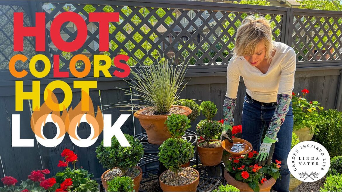 Use Red hot Colors In Your Backyard Garden Use Red hot Colors In Your Backyard Garden