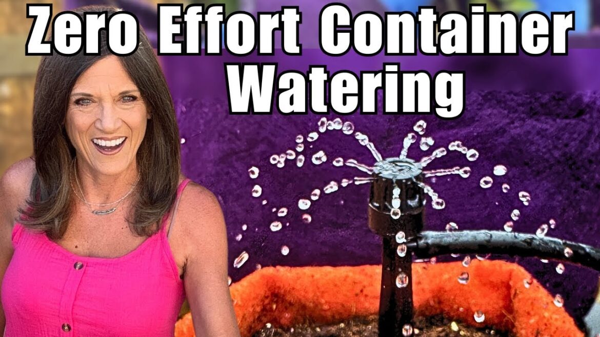 CaliKim: Zero Effort Container Watering Setup | Lazy Gardener’s Dream Drip System for Patios & Balconies Zero Effort Container Watering Setup | Lazy Gardener's Dream Drip System for Patios & Balconies