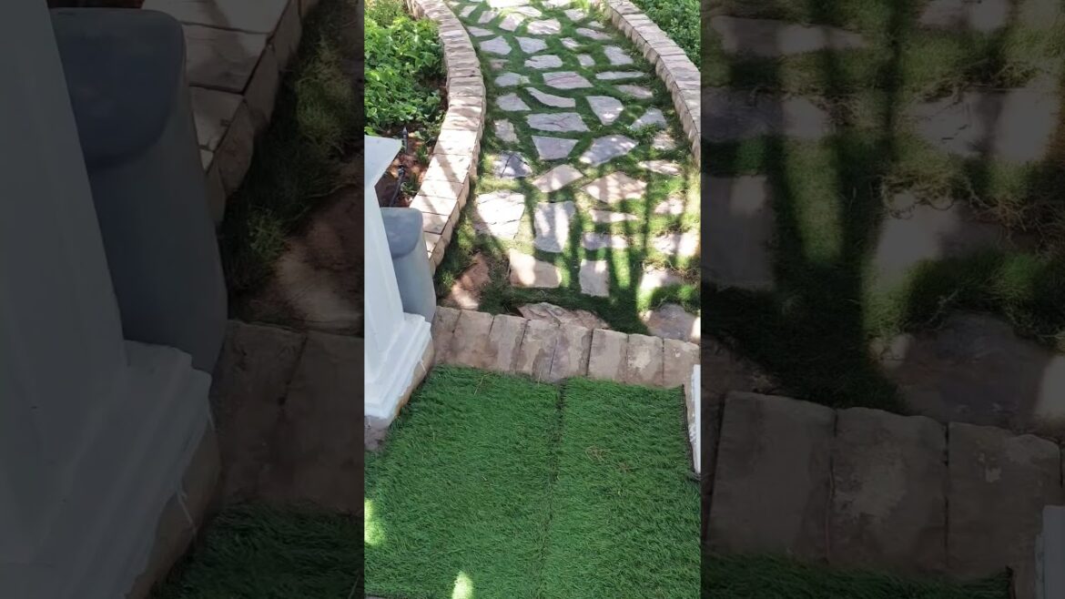 #new #garden #design