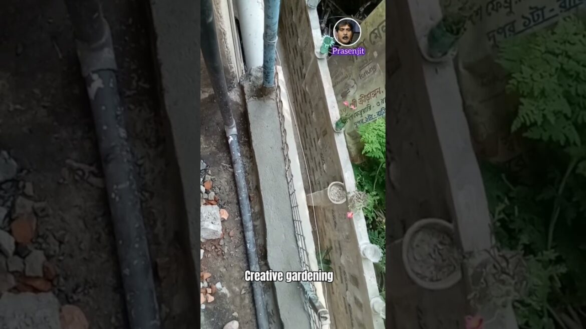 Very Creative Gardening Ideas #shorts #garden #satisfying