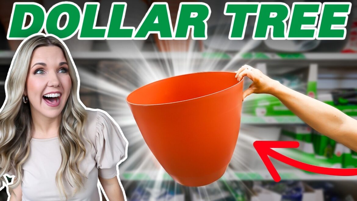 You’ll never walk past these DOLLAR TREE planters again! You'll never walk past these DOLLAR TREE planters again!