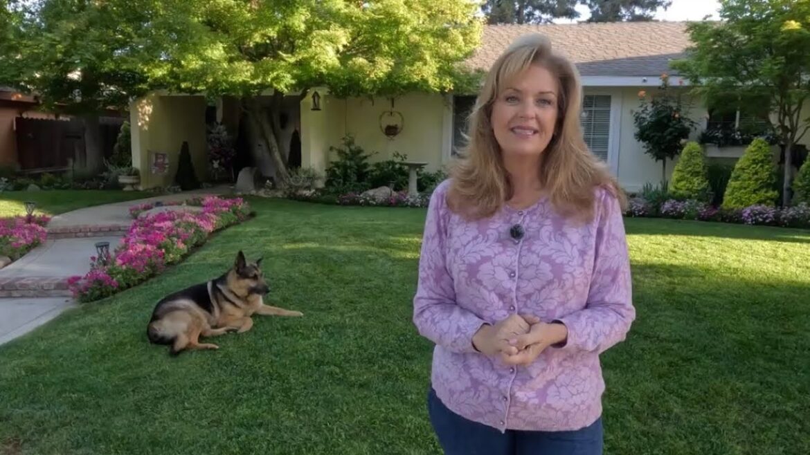 Front Yard Garden Tour April 2025 ~ birdhouse garden