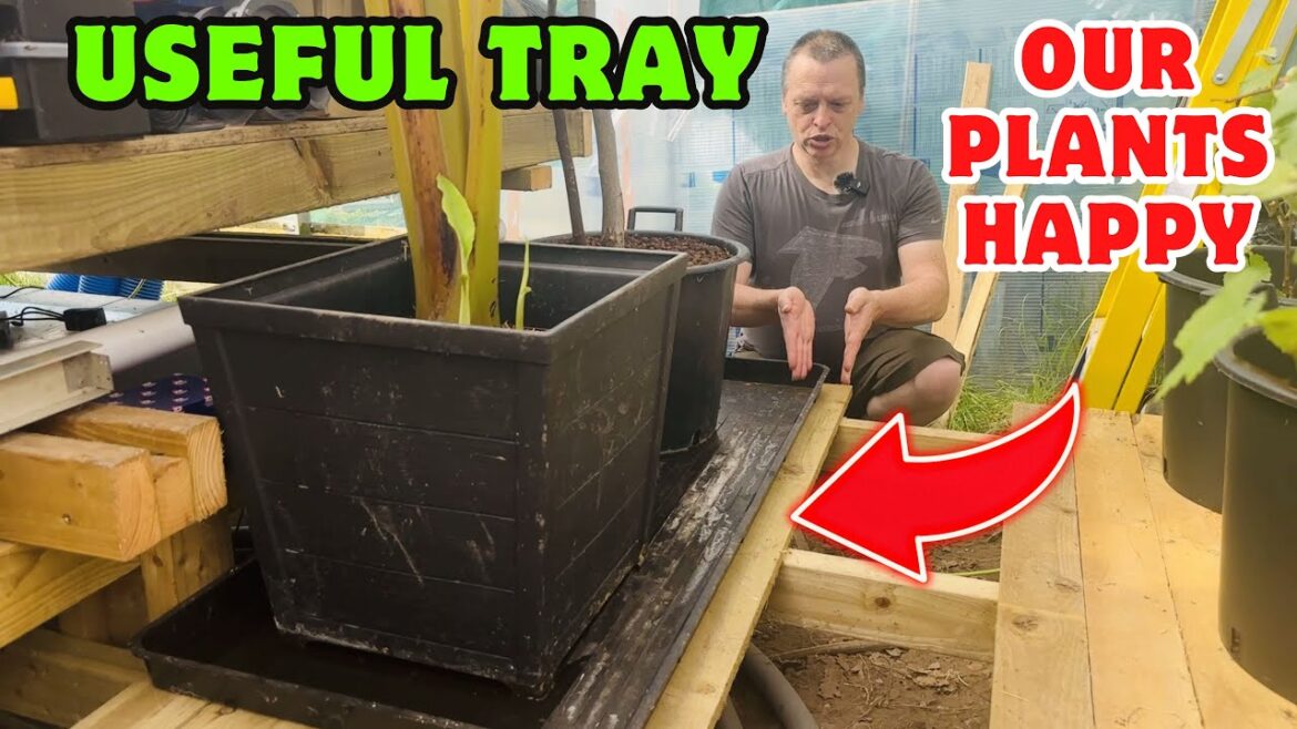 Durable Large Plant Tray for Indoor & Outdoor Gardening Use #ad