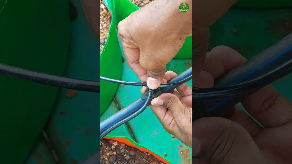 🤯Home garden irrigation system!!👌🏻#ideas #tips #watering #short