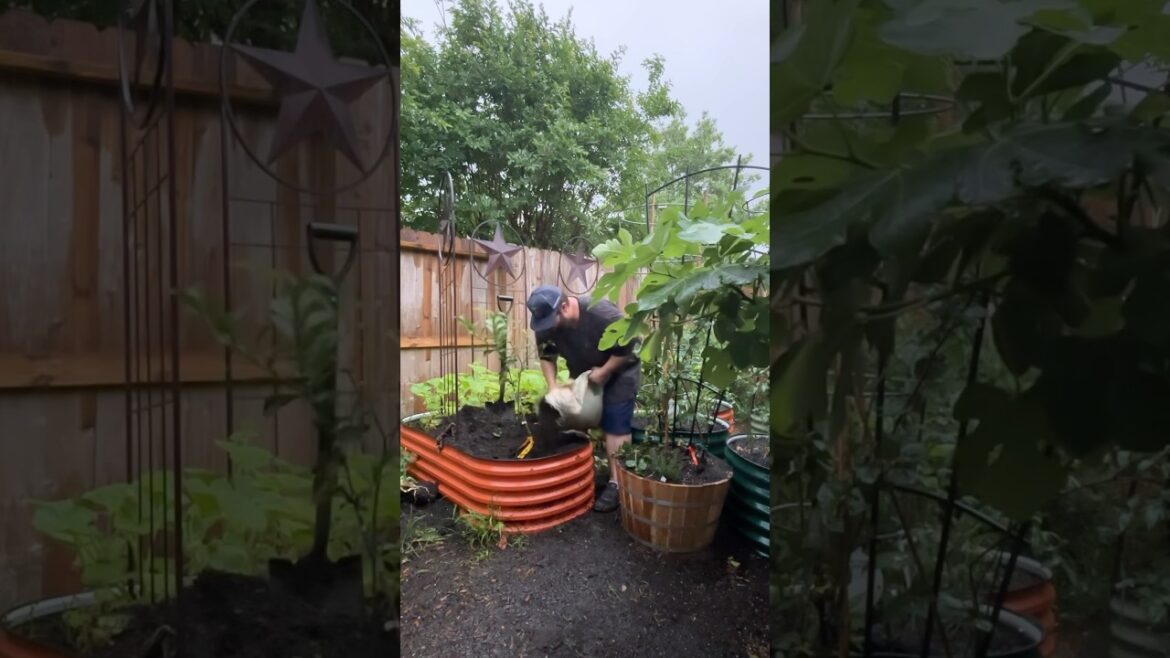 The Most Cold Hardy Citrus You Can Grow