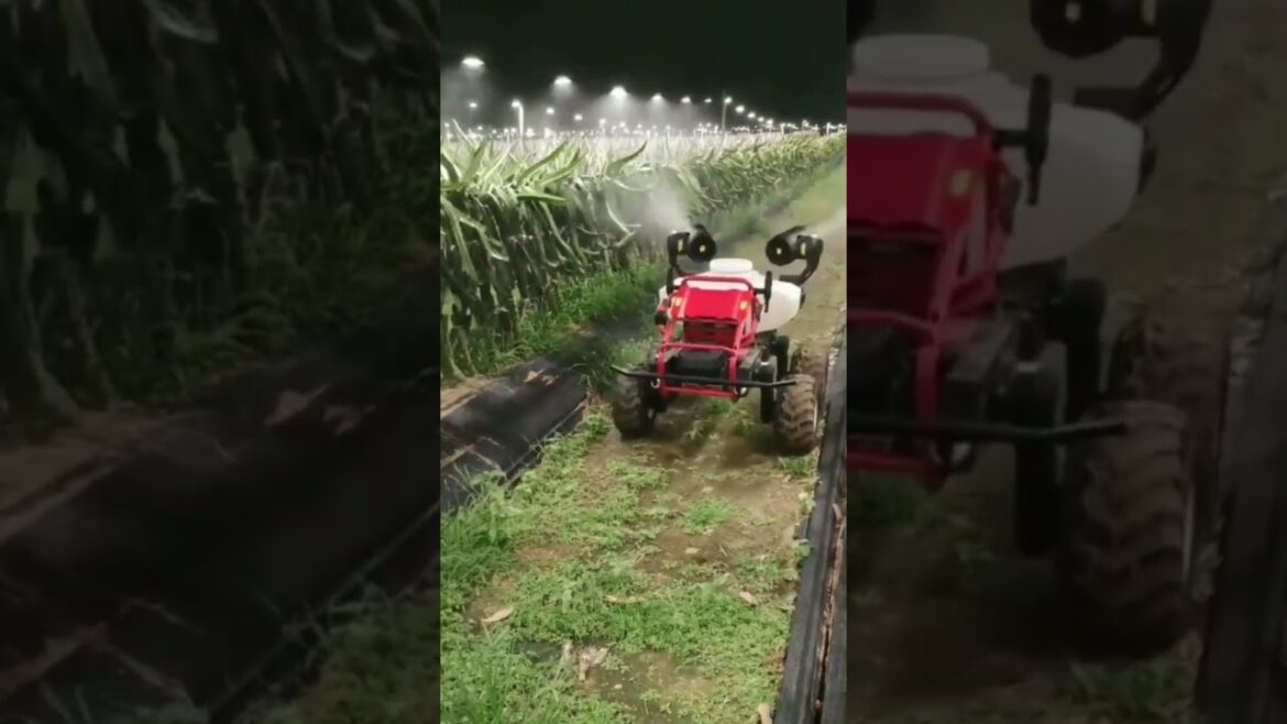 High-tech irrigation systems for optimal garden care #shorts