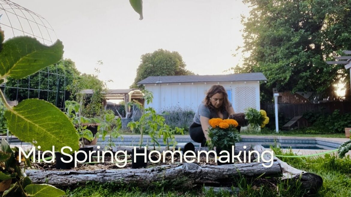 Mid Spring Homemaking | Life Update, Gardening, and Blueberry Pancakes