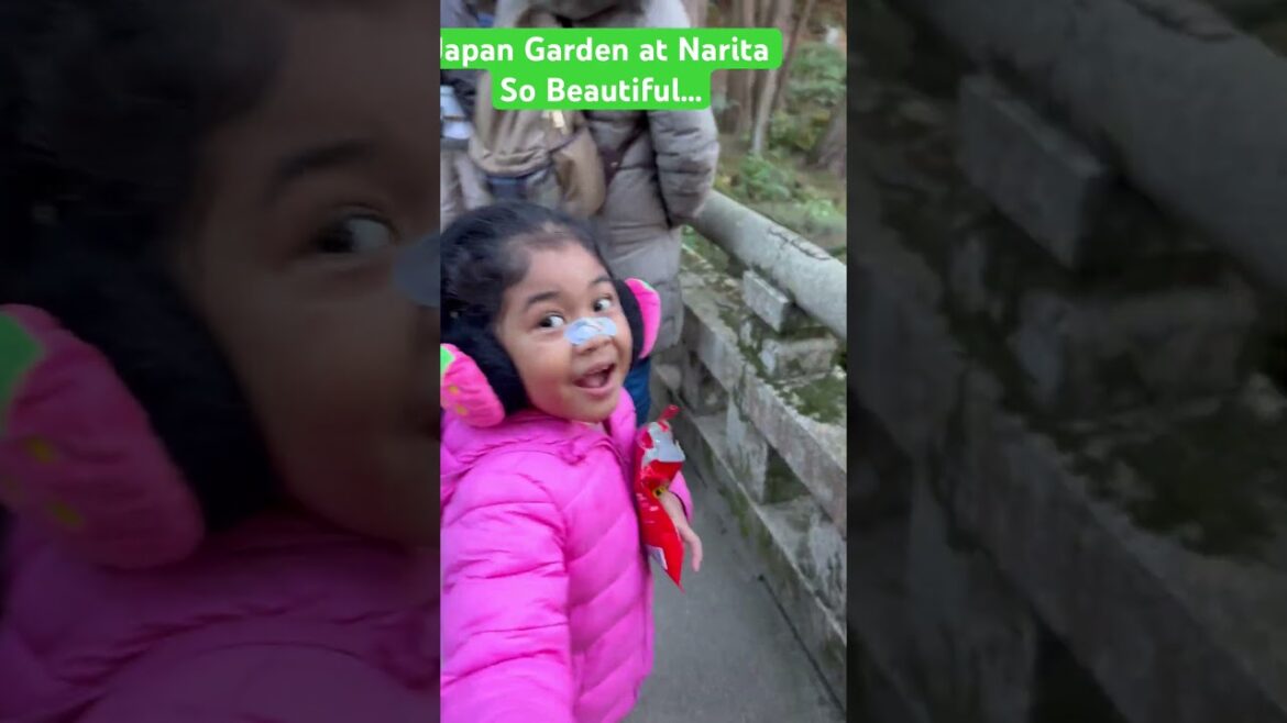 Japanese Garden at Narita So Beautiful. Airin Loves It So Much!