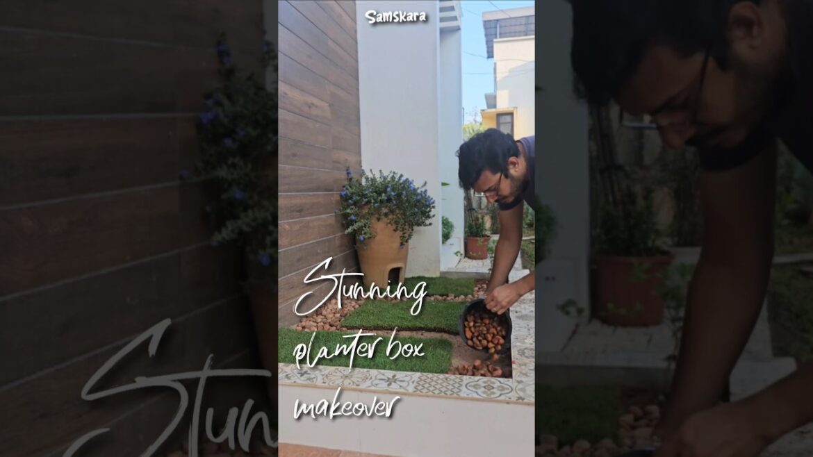 A marvelous planter box transformation ๐ ๐คฉ | MUST WATCH !!!! | Samskara A marvelous planter box transformation ๐ ๐คฉ | MUST WATCH !!!! | Samskara