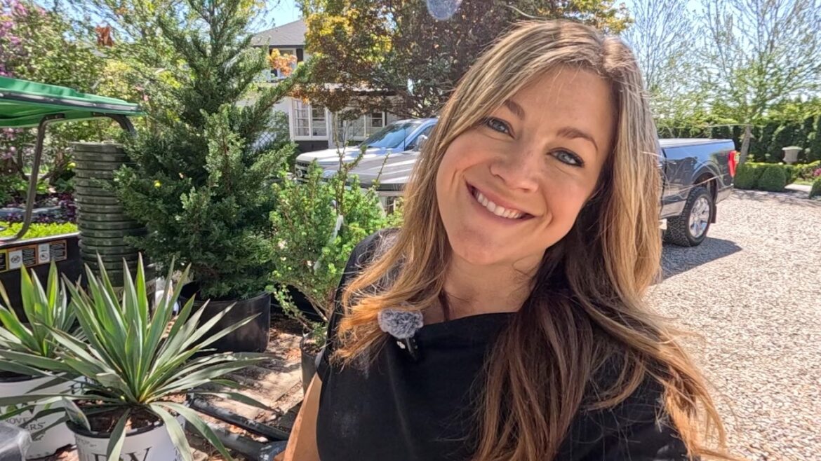 Garden Answer: Planting Interesting Focal Point Plants & 500+ Daffodils in the Orchard! 🌲🌿🪻 // Garden Answer Planting Interesting Focal Point Plants & 500+ Daffodils in the Orchard! 🌲🌿🪻 // Garden Answer