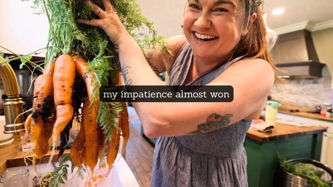Roots and Refuge Farm: I almost gave up on this | VLOG I almost gave up on this | VLOG
