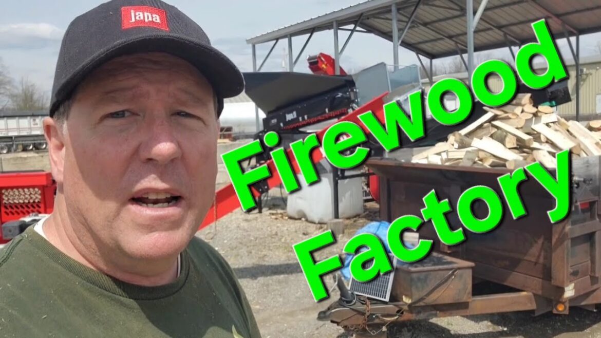 Professional Firewood Production Yard Professional Firewood Production Yard
