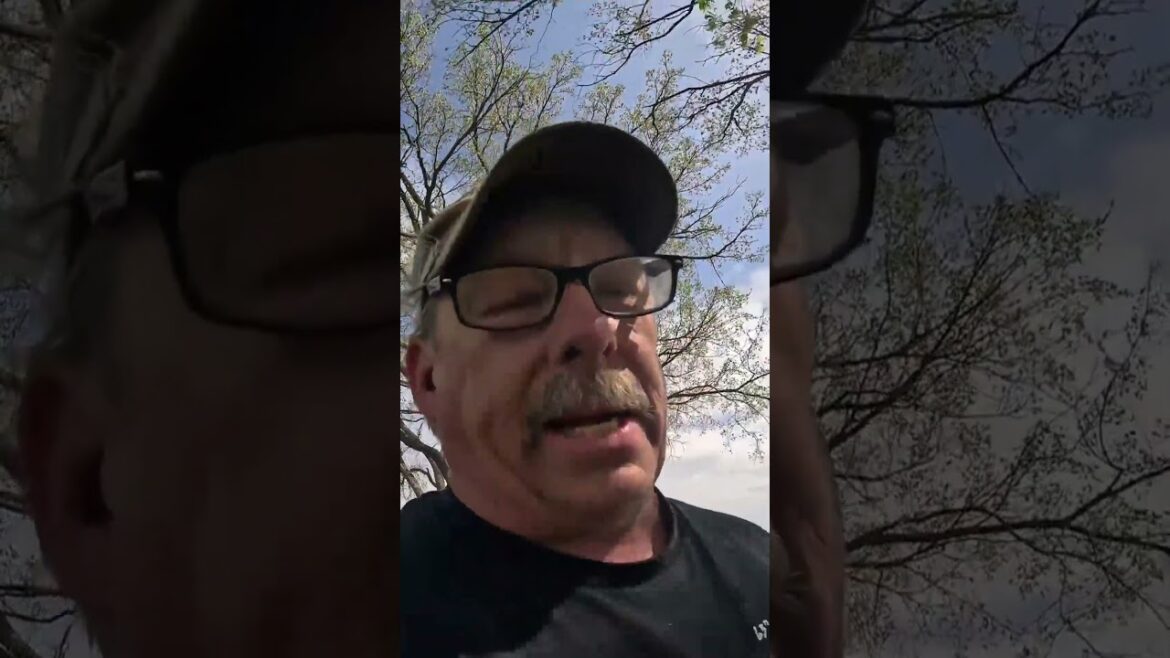 Asparagus Short #garden #vegetablegardening #homestead #asparagus  #gardening