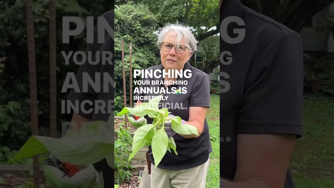 Don’t miss the 20% off coupon code: Take20 Good on the website and phone APP stores! Tools, seeds,