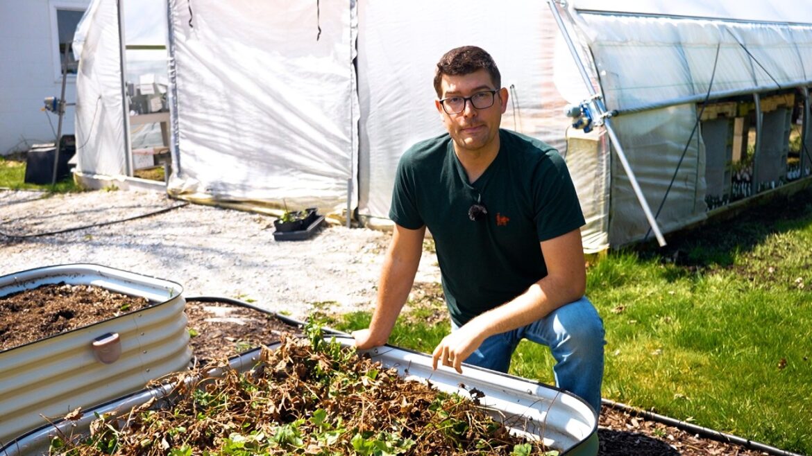 MIgardener: Most Common Mistakes You Are Probably Making When Growing Strawberries Most Common Mistakes You Are Probably Making When Growing Strawberries