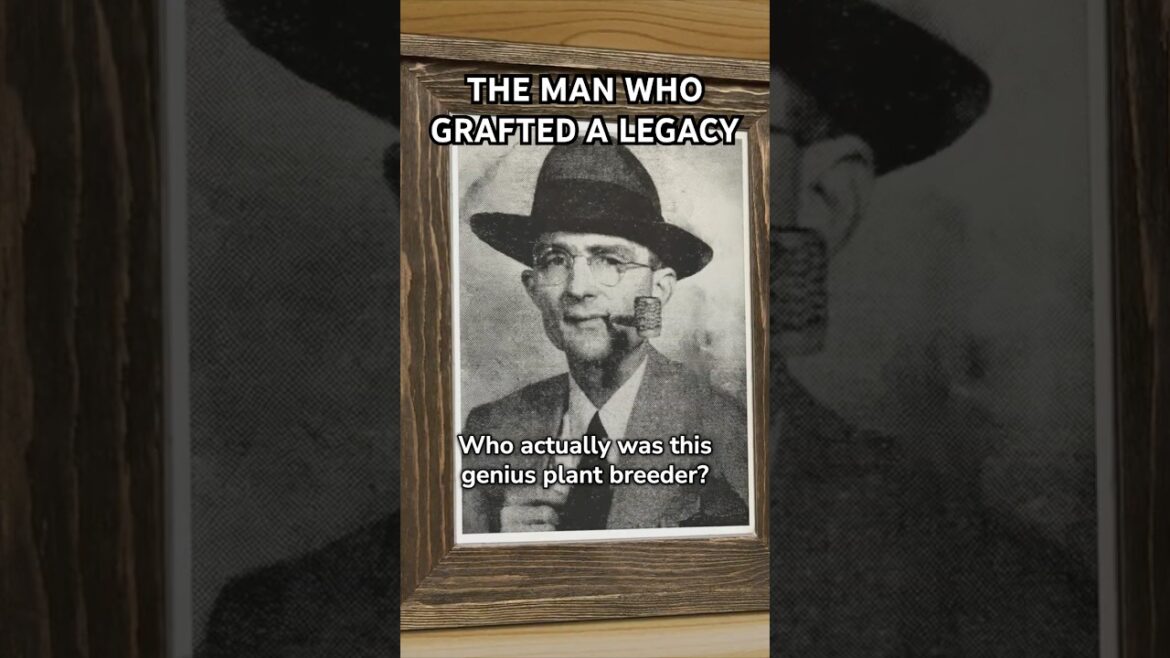 The Man Who Grafted A Legacy
