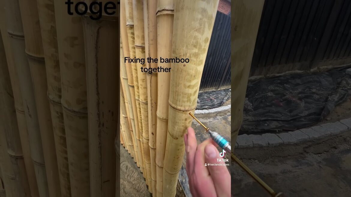 Japanese garden #gardenproject #landscaping #japanesegarden