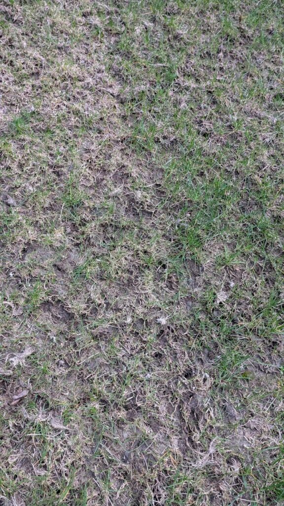 How can we make this better?