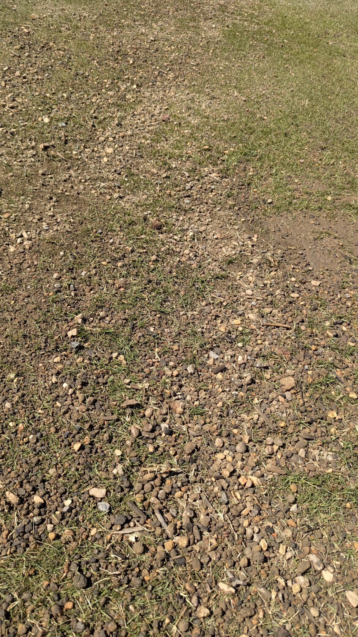 How would you remove 1/4 to 1/2 inch rocks from your lawn? How would you remove 1/4 to 1/2 inch rocks from your lawn?