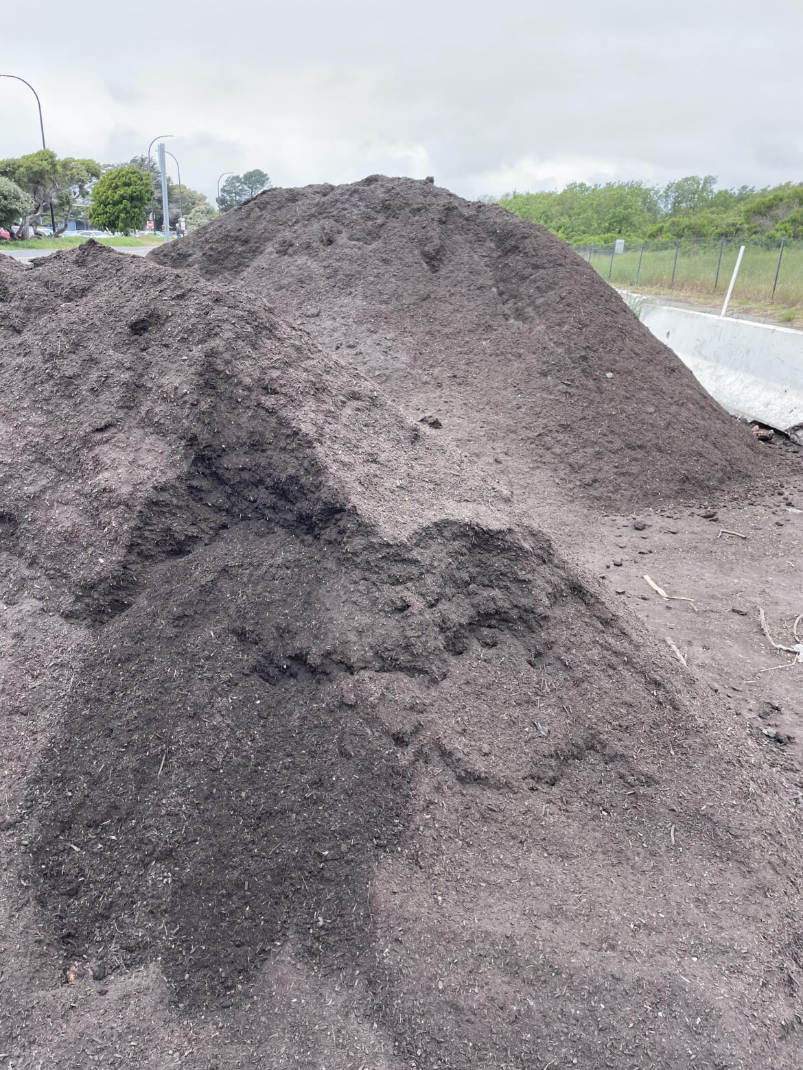 Why does our municipal compost smell so bad? Why does our municipal compost smell so bad?