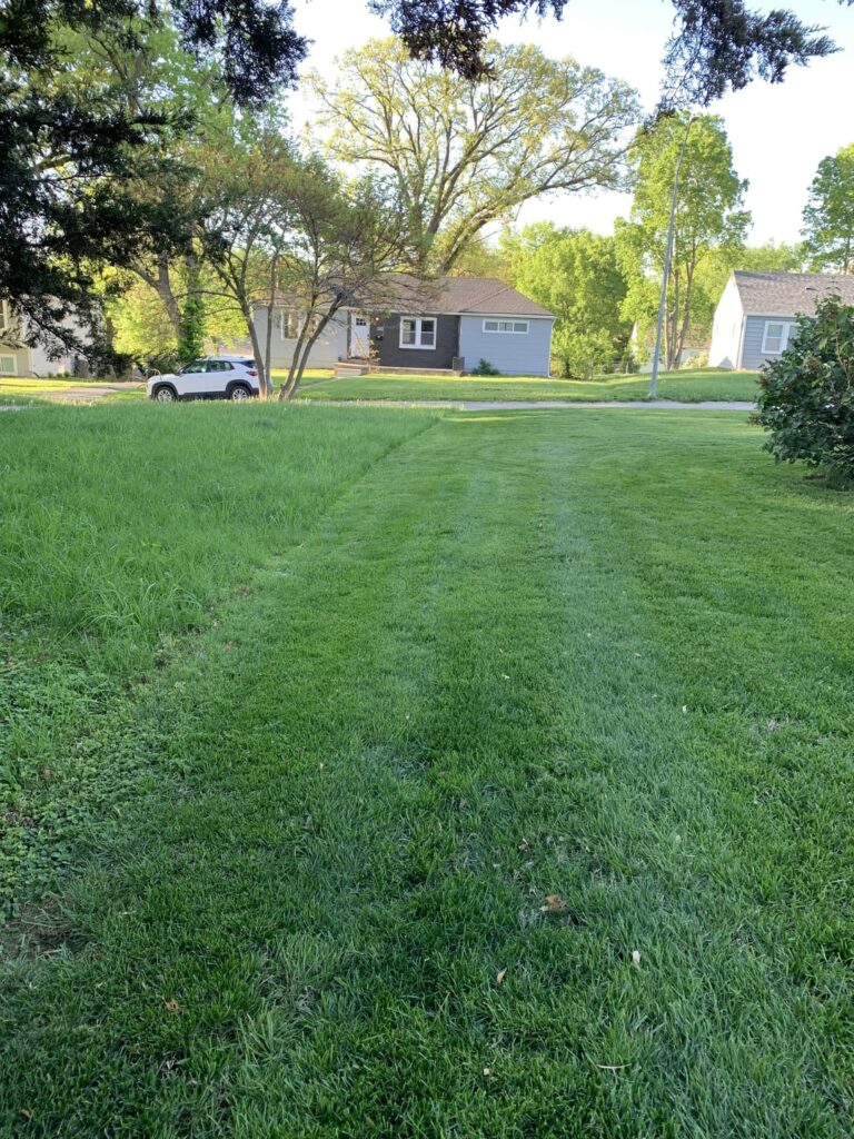 Lines have been drawn