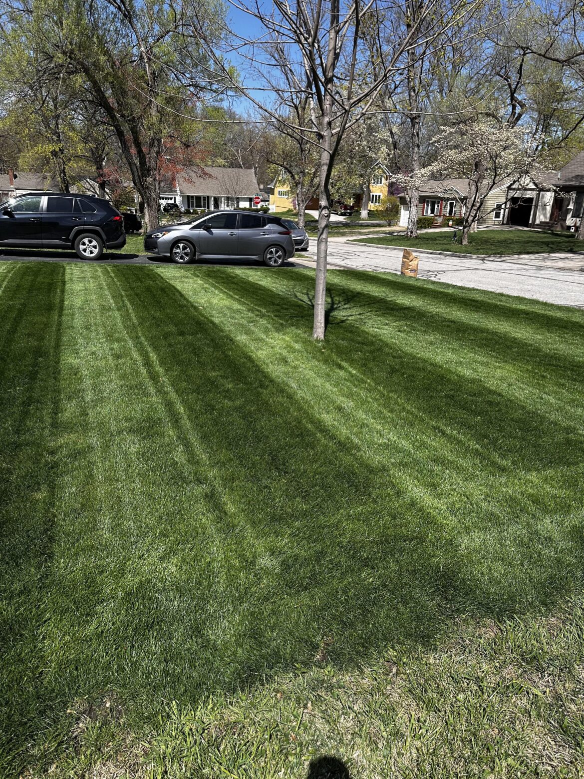 Full reno last fall - now enjoying the results.
