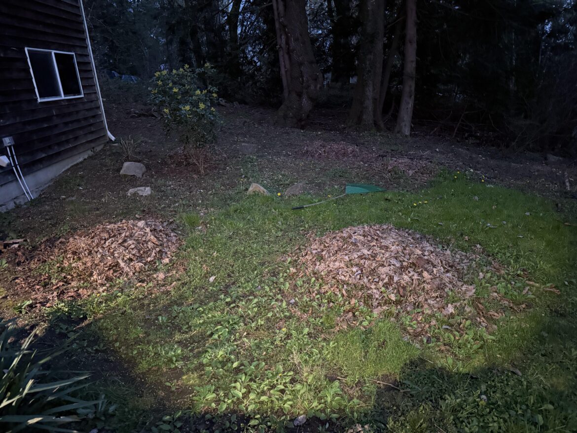 My yard is basically 70% weeds. Do I nuke it before seeding? My yard is basically 70% weeds. Do I nuke it before seeding?
