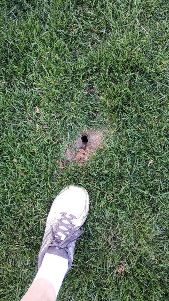 What are these holes from?