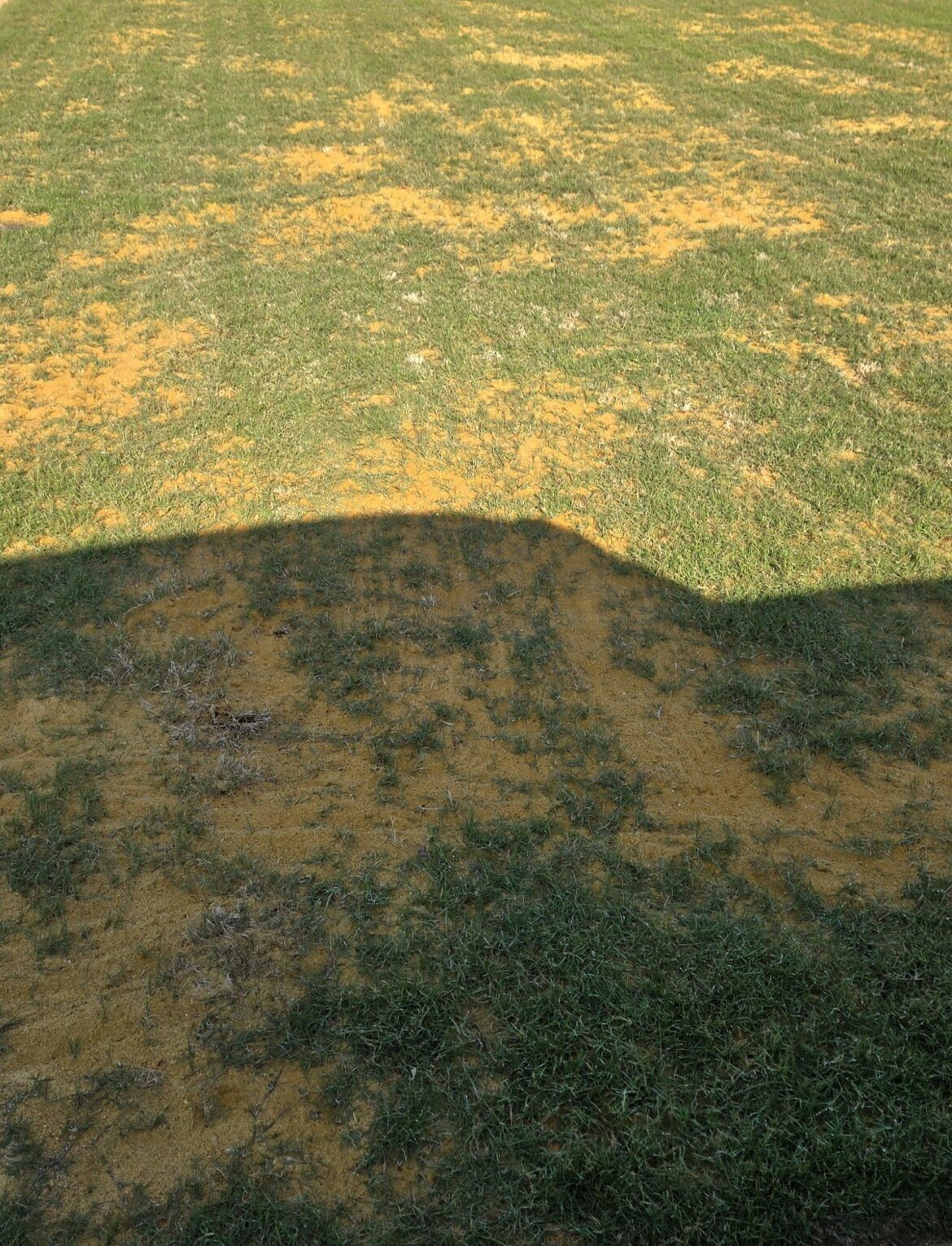 I sanded my Bermuda 7 weeks ago and it was way too much sand.