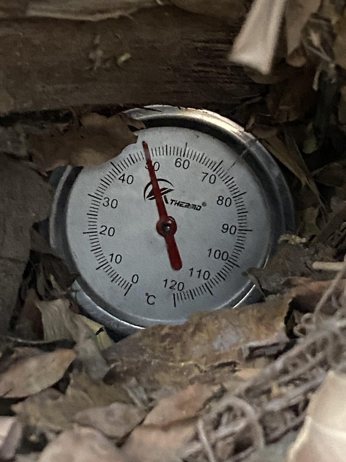 First compost pile ever – is 55°C (131°F) the right temperature? Need advice as a complete beginner with no local support First compost pile ever – is 55°C (131°F) the right temperature? Need advice as a complete beginner with no local support