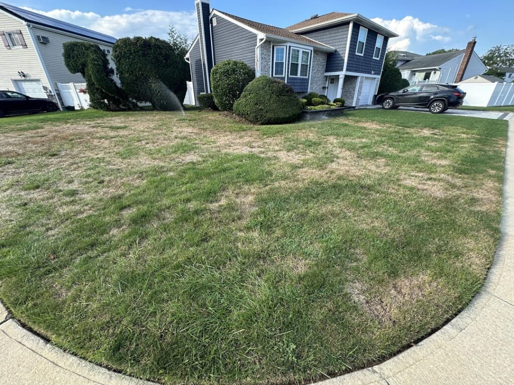 The difference 1 year makes