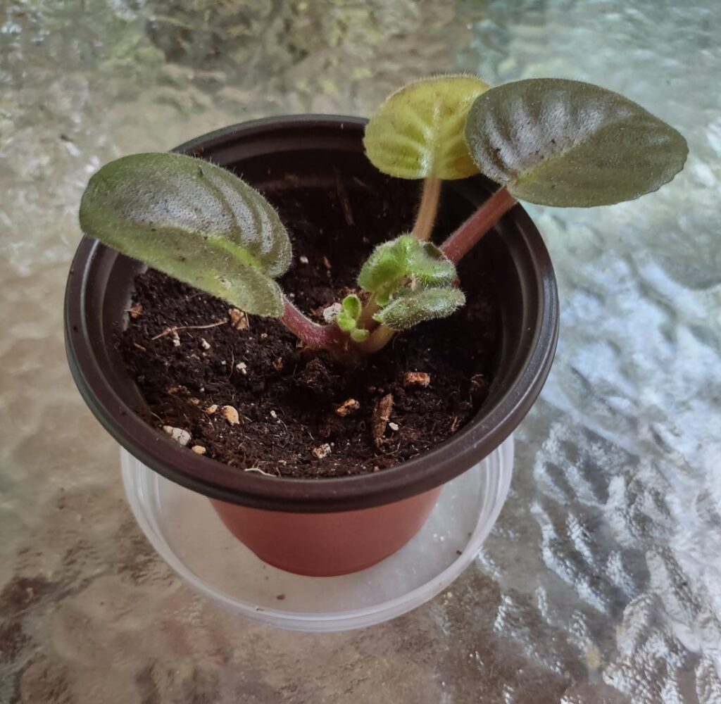 Thanks for all of the advice and tips!