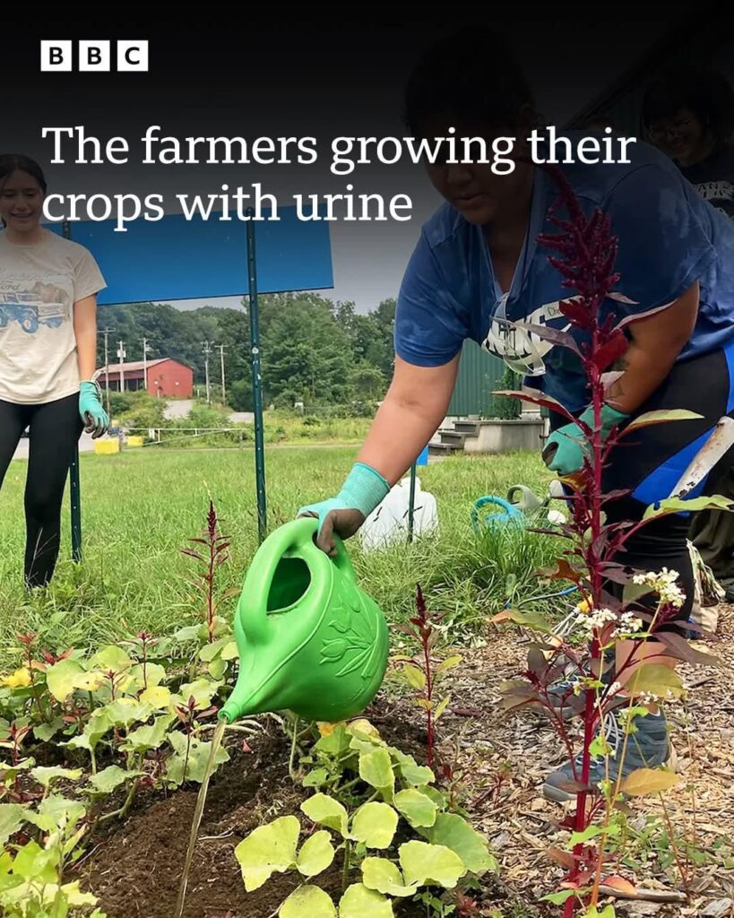 "It's an untapped resource"