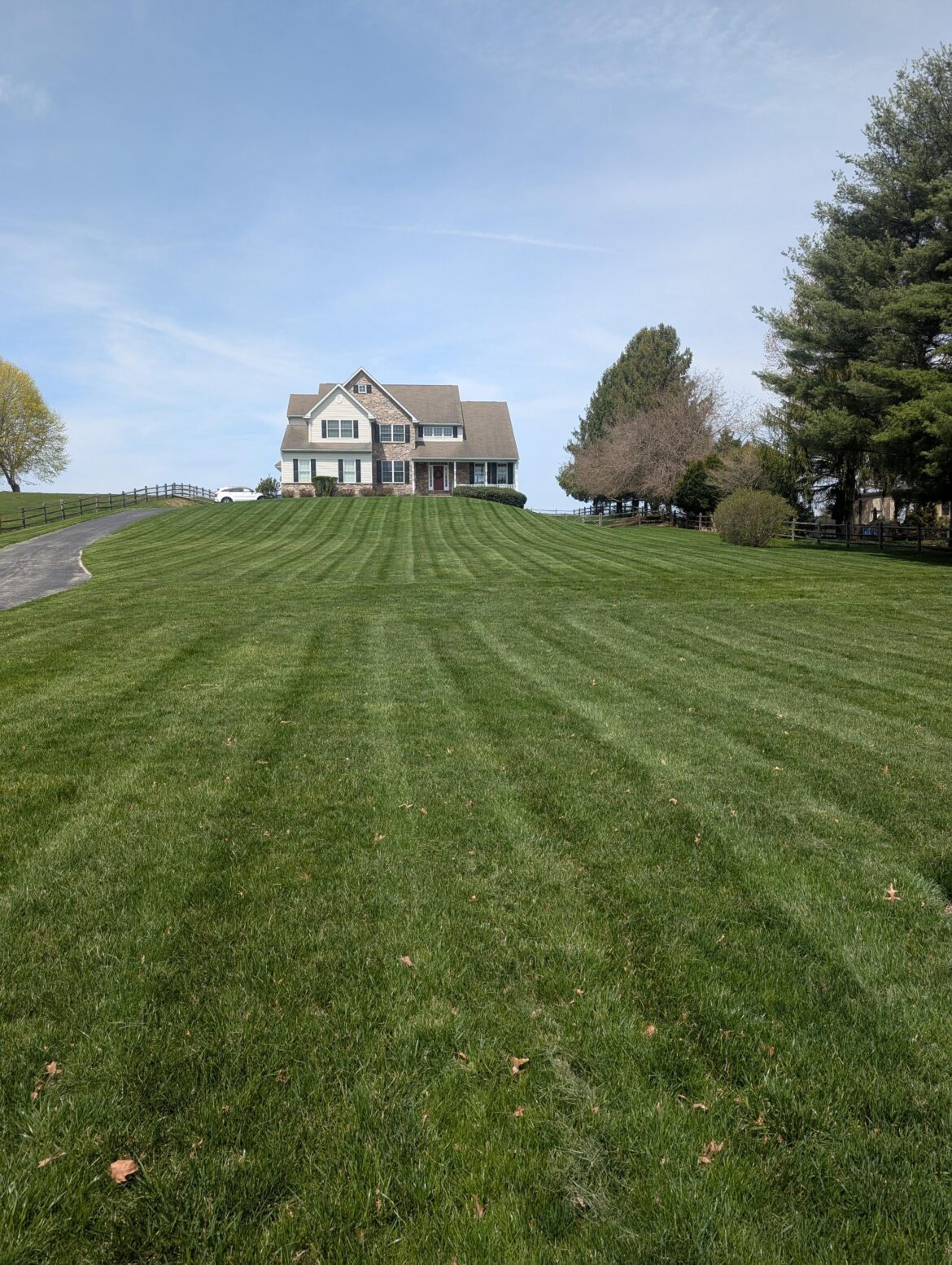 First mow of the year last week (Zone 7a)