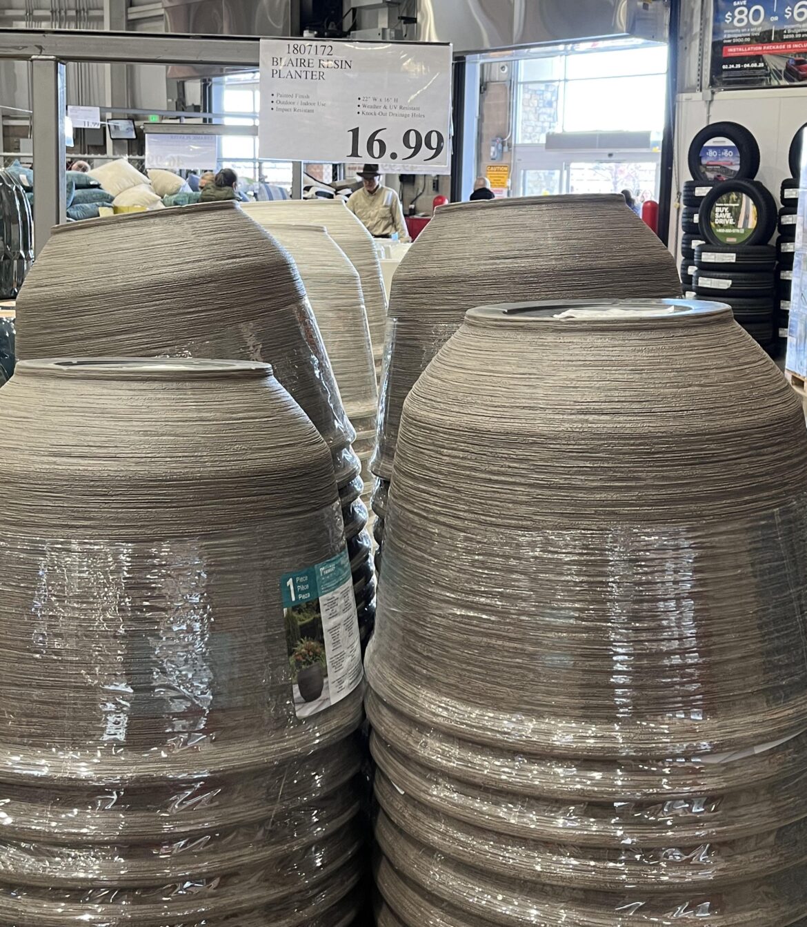 What should I plant in this huge Costco container?