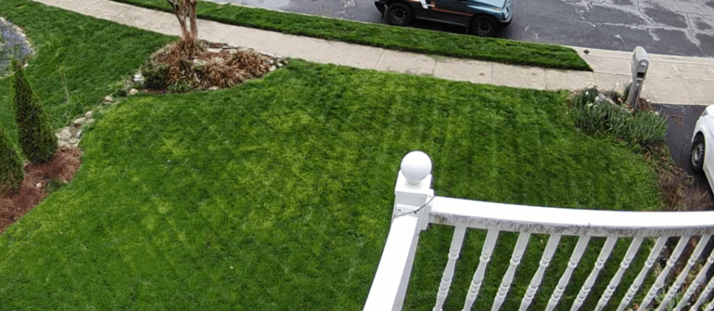 Another yellow patches question (couldn't find posts with similar spots in the search) Maryland, USA zone 7a tall fescue