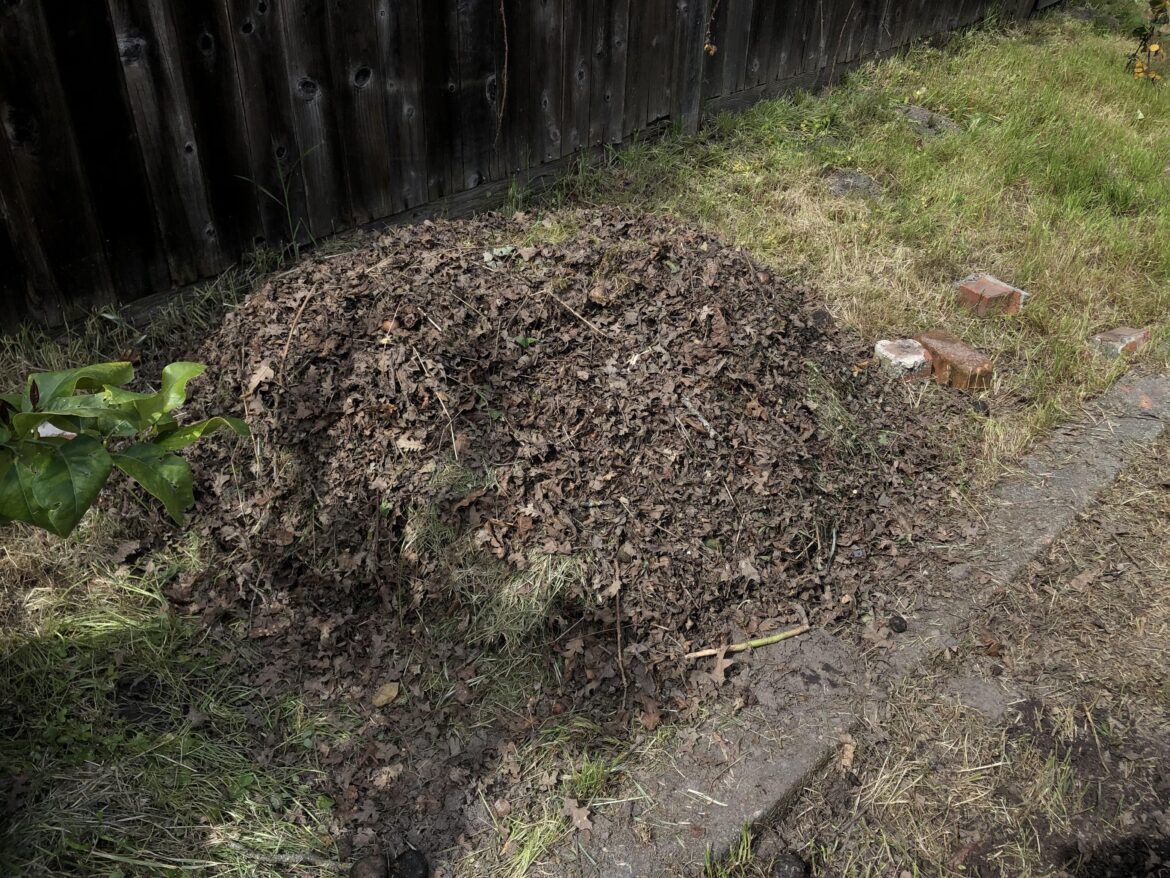 First pile questions